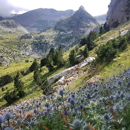 Mouli Del Riu サン・ピエール・デル・フォルサ